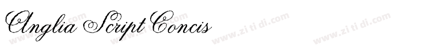 Anglia Script Concis字体转换